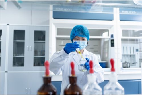 全產(chǎn)業(yè)鏈鑄就卓越品質(zhì)，一站式服務(wù)賦能共贏未來(lái)——康西爺食品的技術(shù)服務(wù)之道