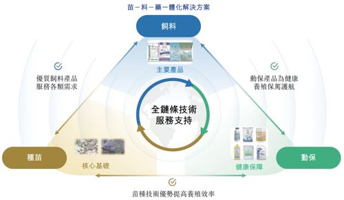 海大國(guó)際遞表港交所 分拆自海大集團(tuán)，2024年凈利潤(rùn)強(qiáng)勢(shì)翻倍